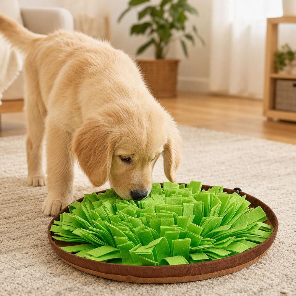 Dog Snuffle Mat Interactive Fe - Dog Puzzle Feeder Toy recension och pris